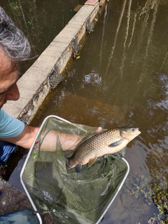 Chacara Da Promessa De Deus Villa Icatuacu Dış mekan fotoğraf