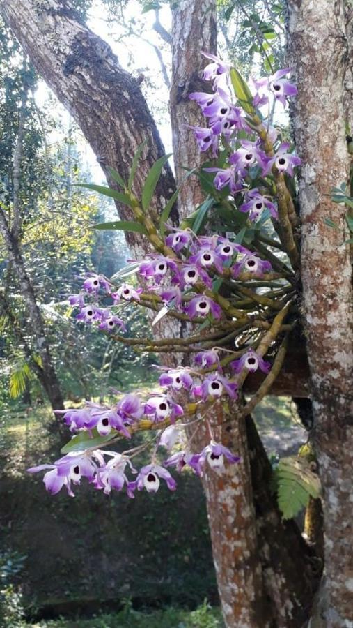 Chacara Da Promessa De Deus Villa Icatuacu Dış mekan fotoğraf